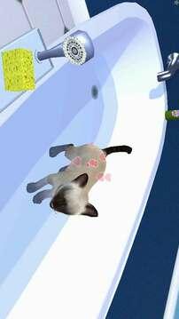 小猫历险记-喵星人拆家模拟器游戏截图2