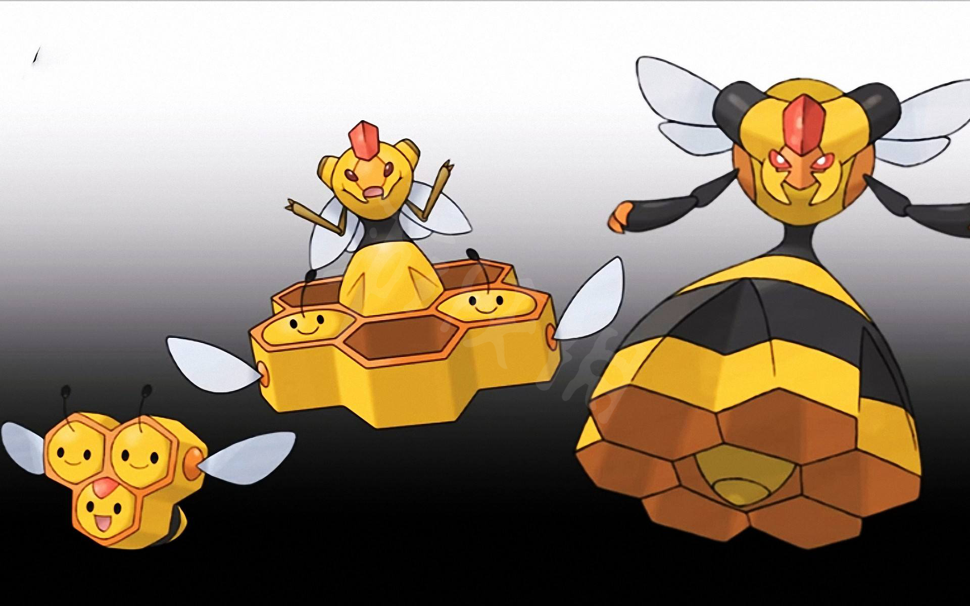 三蜜蜂雄性图片