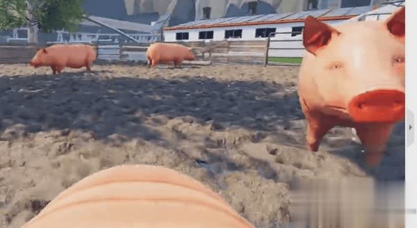 猪猪模拟器游戏截图2