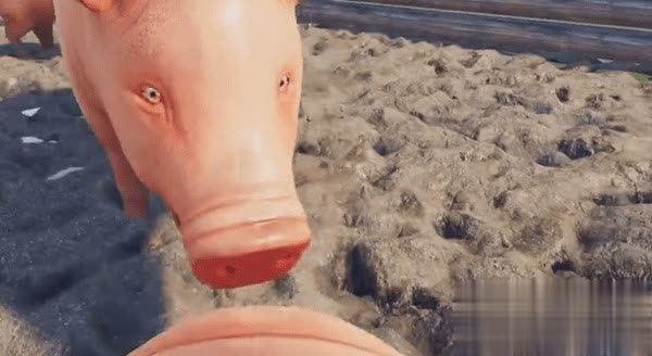 猪猪模拟器游戏截图3