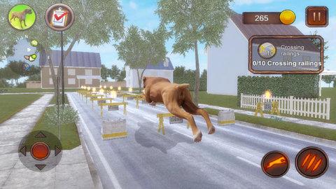 恶犬模拟器游戏截图3