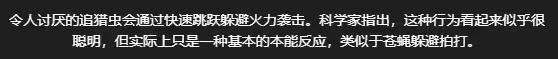 《地狱潜兵2》每日任务怪物是什么 地狱潜者2每日任务相关怪物名称