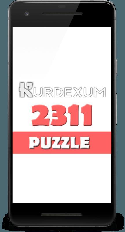 2311 Puzzle游戏截图2
