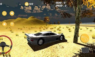 沙漠汽车模拟器游戏截图1